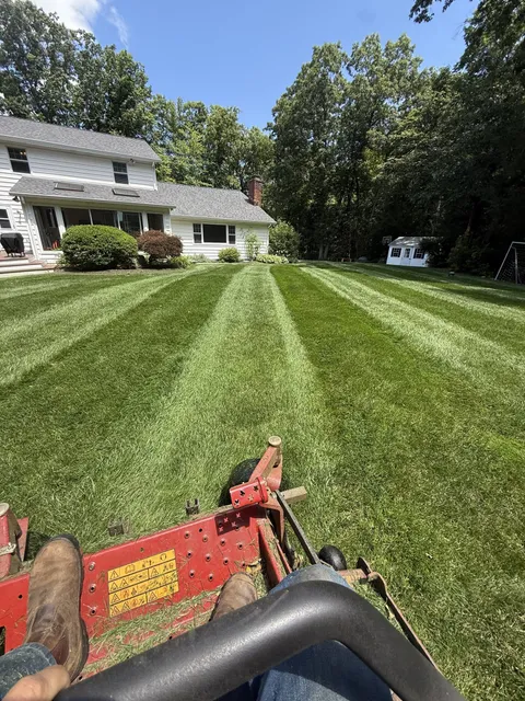 Fresh-cut stripes, zero-turn mower