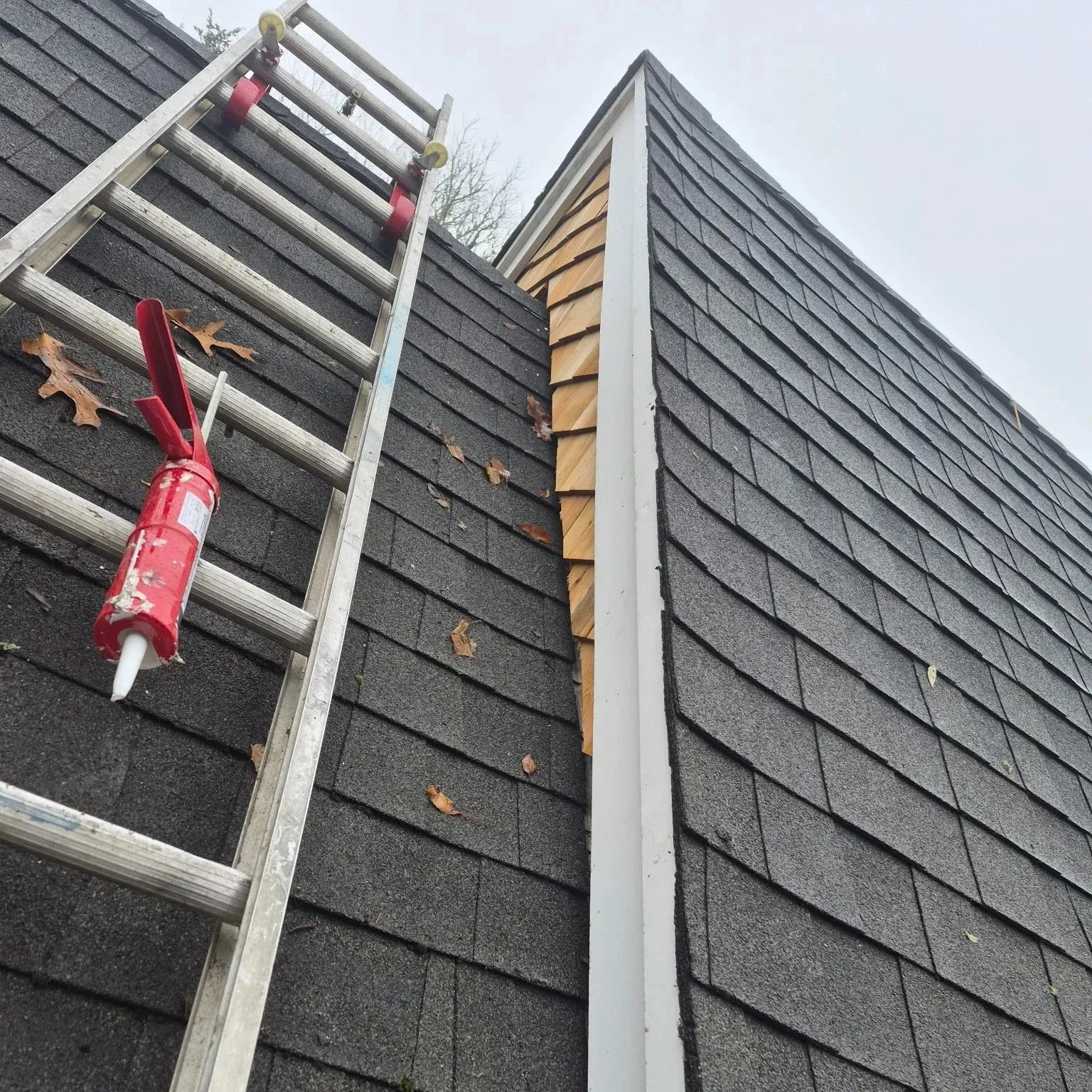 Ladder leaning against a shingled house corner with visible soffit and a section of new cedar siding, fallen leaves on the dark shingled roof, overcast sky in the background.