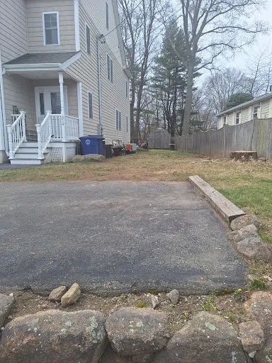 Tree Services of New England work photo