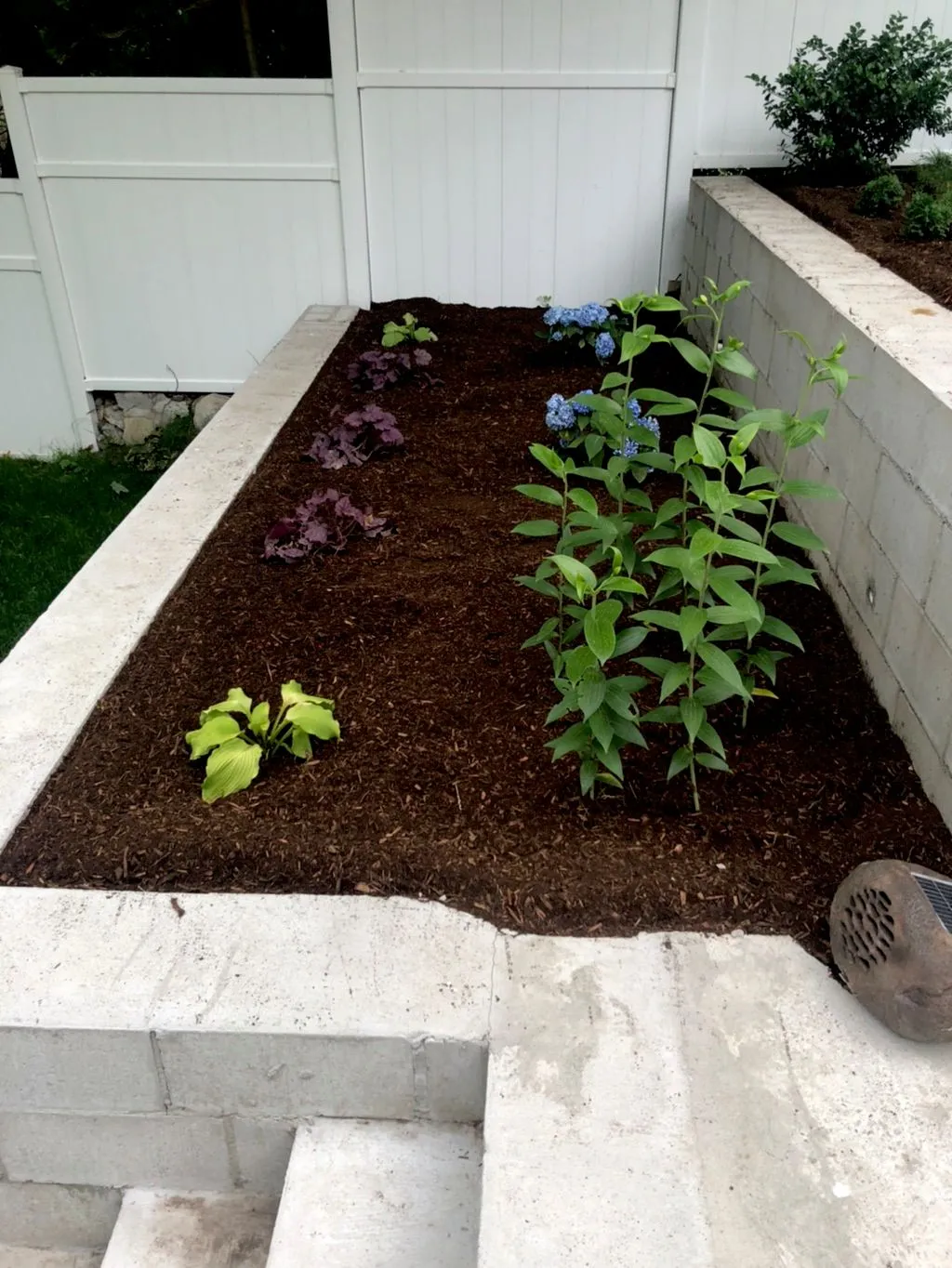 Carias Landscaping & Construction Inc researched project photo