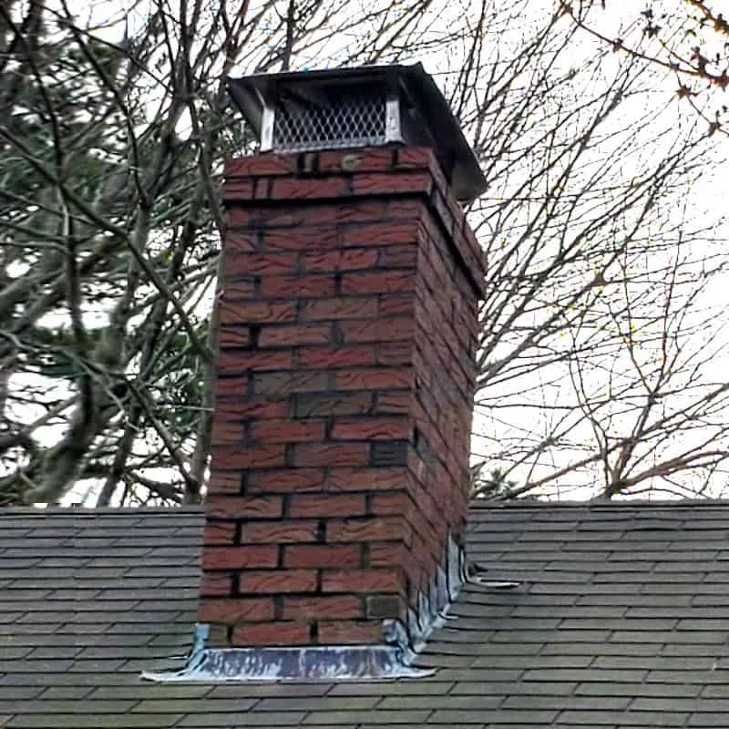 A chimney cap to exclude animals from enetering
