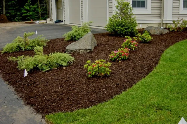 Shrub Planting