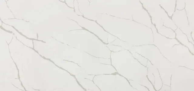 Close-up of a white marble surface with gray veining.