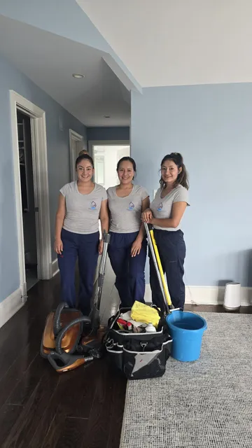 New Vibes Cleaning LLC work photo