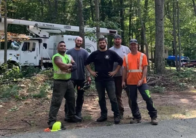 work photo from svtree.com