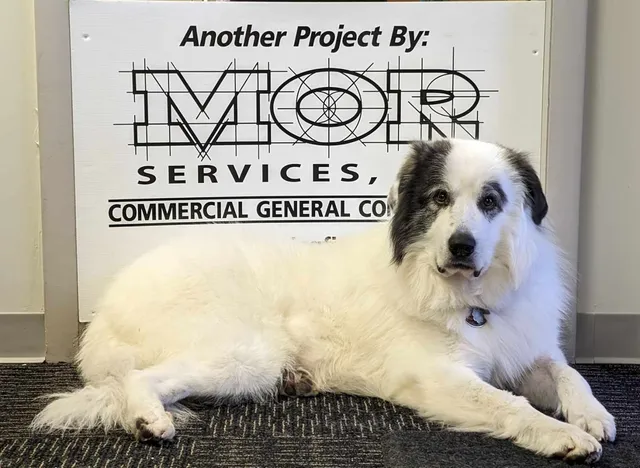 MOR Services Inc, work photo