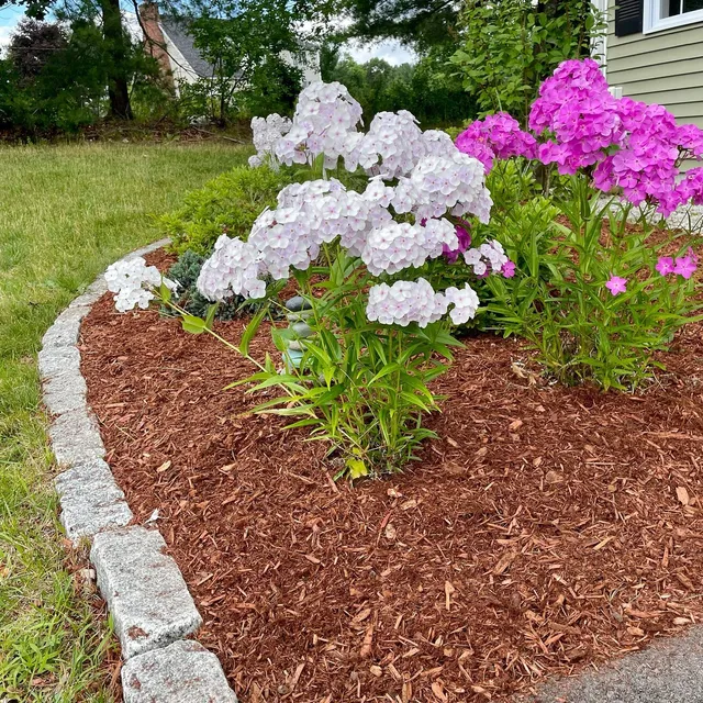 Make time to stop and smell the perennials🌷

If you’re lacking color and the summer smells in your property, we are here to help! Revive your gardens with High St.

Visit HighStLawn.com for more details on garden design #highstlawnunlimited #garden #gardendesign #perenials #horticulture #summerflowers #gardening #perrenial #gardener #hslu #concordma #concordbusiness