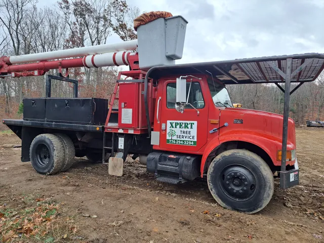 Xpert Tree And Excavation Services Llc work photo