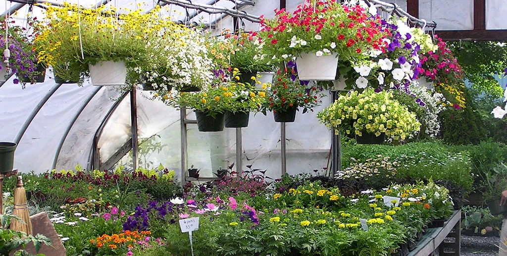 work photo from gillislandscape.com