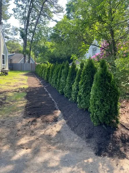 Ed's Landscaping & Tree researched project photo