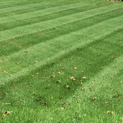 work photo from caneparislandscaping.com