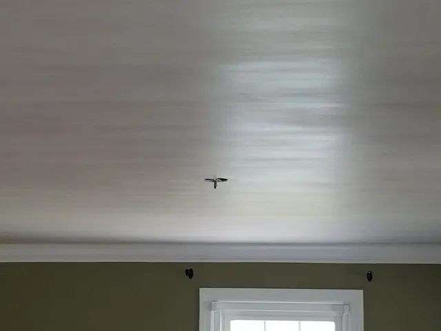 Affordable Plastering work photo
