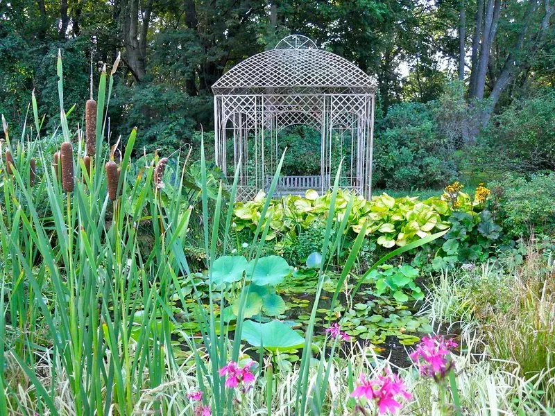 Farm Pond