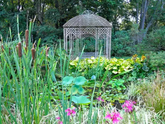 Farm Pond