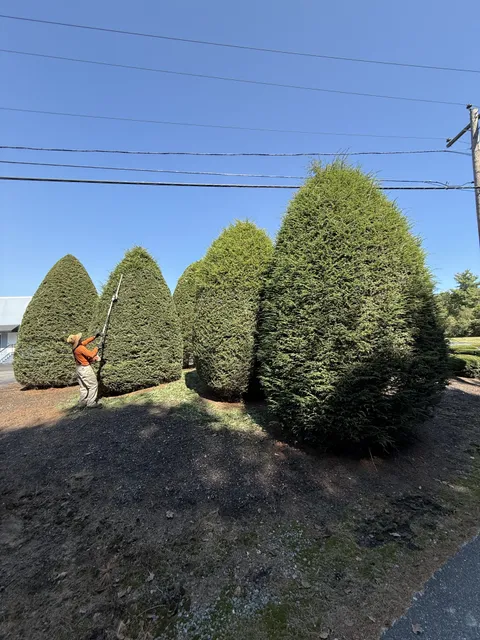 work photo from presidentlandscaping.com