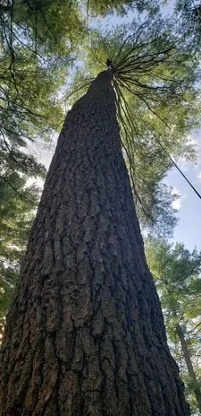 20210802_092547.jpg