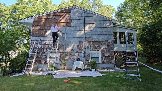 Anselmo Painting work photo