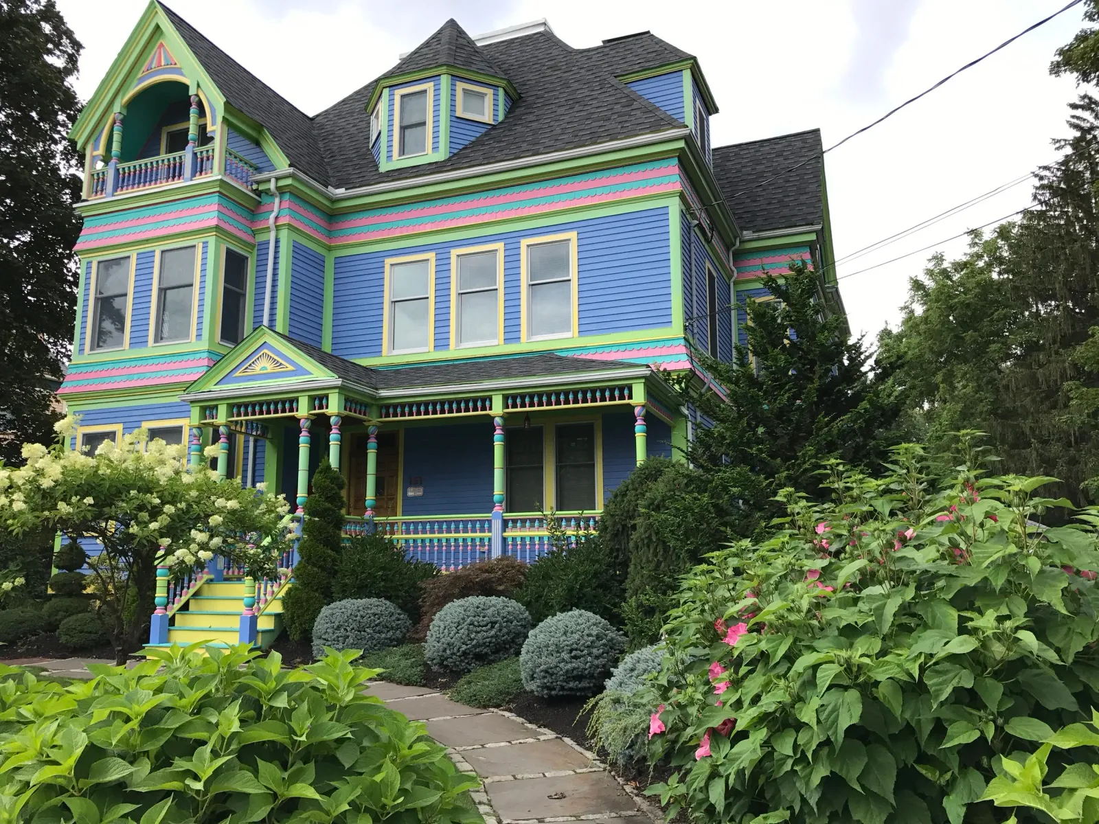 The Painted Lady