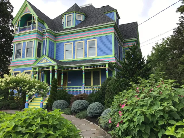 The Painted Lady