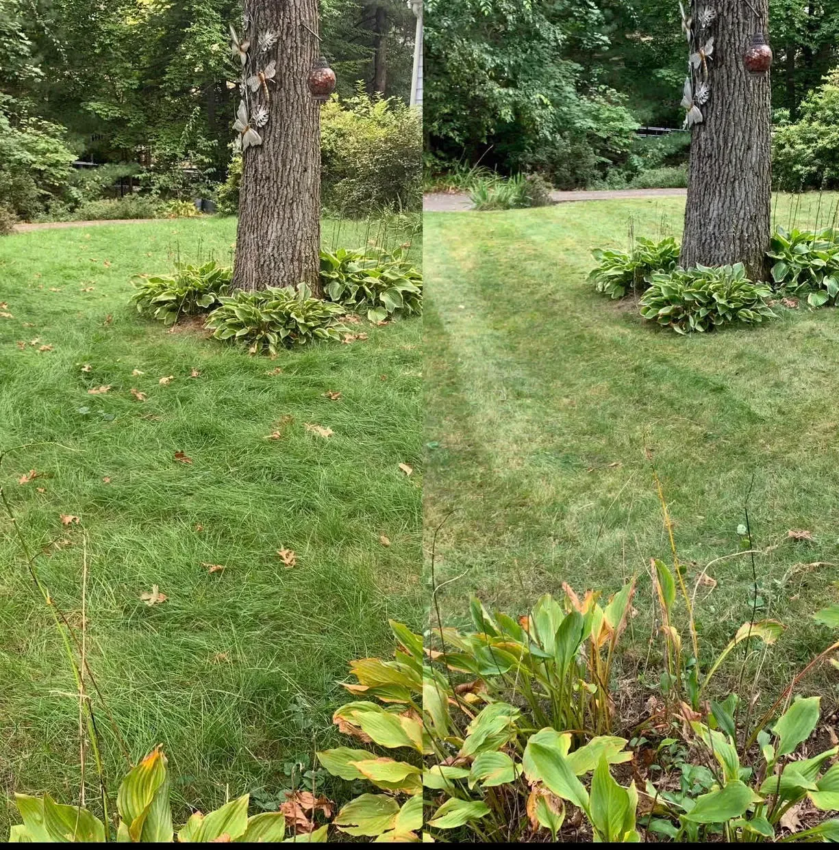 work photo from eclandscaping.services