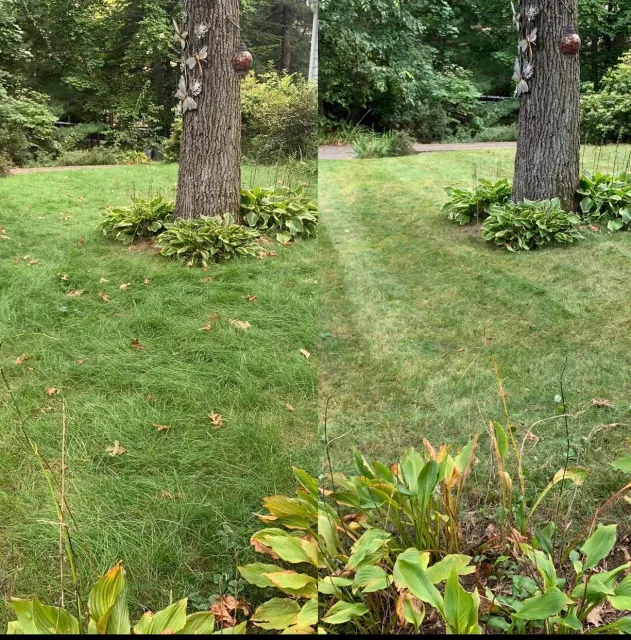 work photo from eclandscaping.services