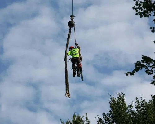 Arborist team member in safety gear suspended from a crane while cutting the top of a tall pine tree against a cloudy sky.