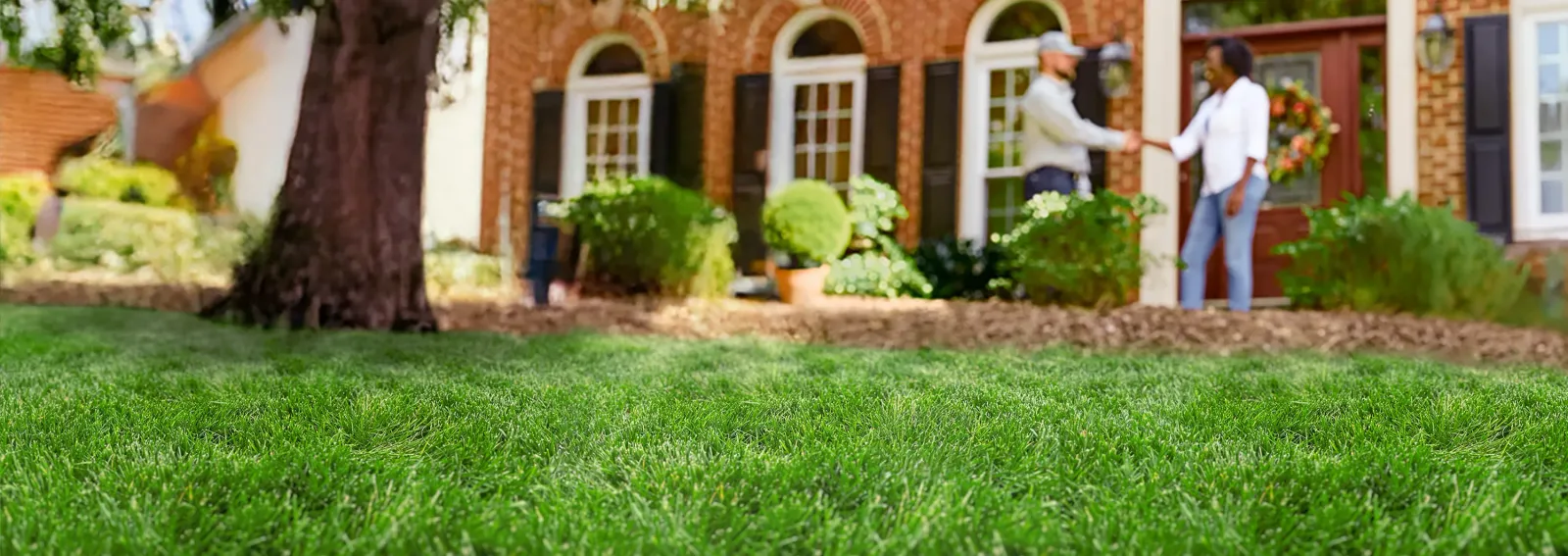 NaturaLawn<sup>&reg;</sup> of America For Safer Lawn Care Naturally<sup>&trade;</sup>