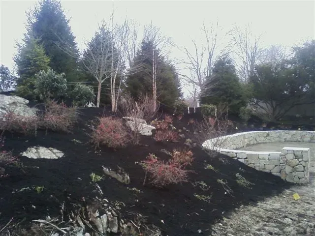 Stone retaining wall beside a landscaped slope with shrubs and tall trees under an overcast sky
