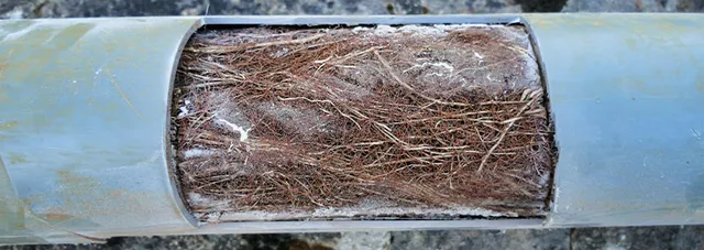 sewer drain line