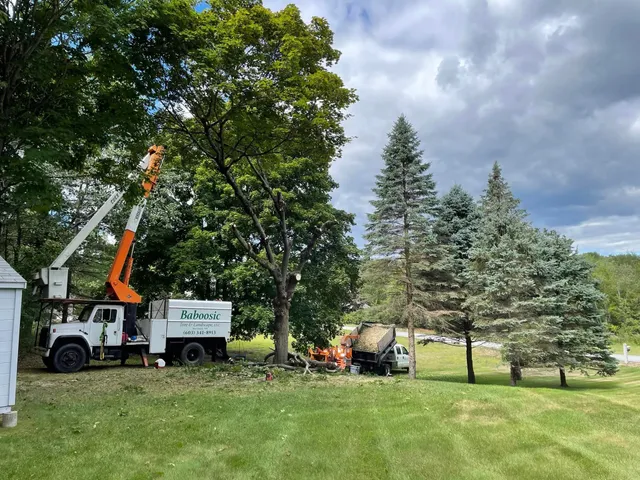 Baboosic Tree & Landscape work photo
