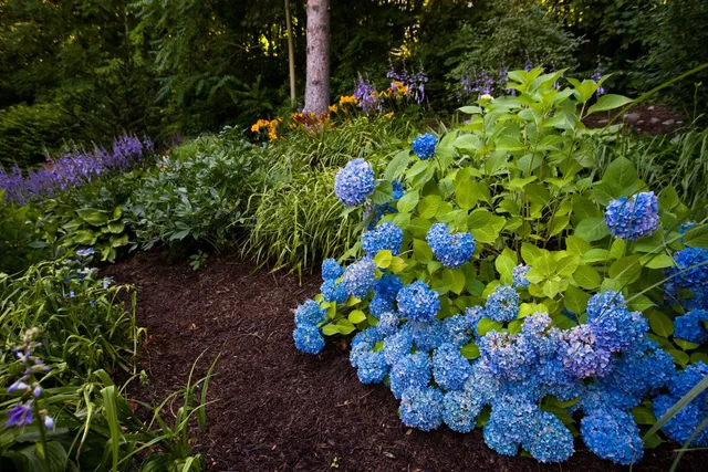 work photo from yardscapeslandscape.com