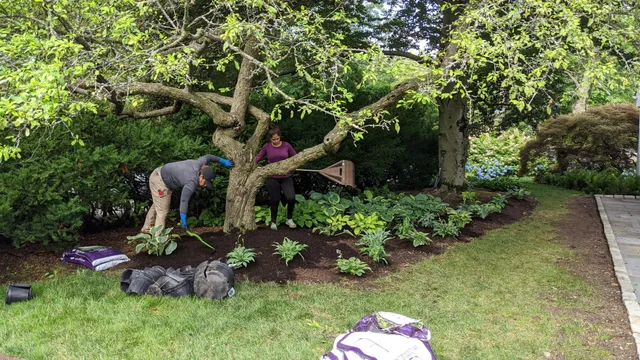 Go Green Landscapers LLC work photo
