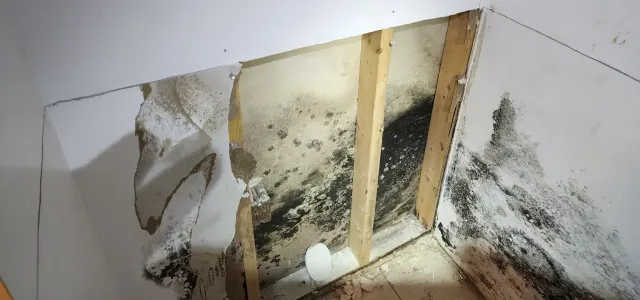 Mold Solutions