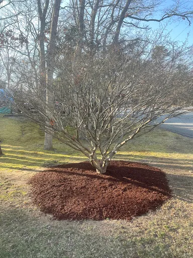 Woodside Landscaping work photo