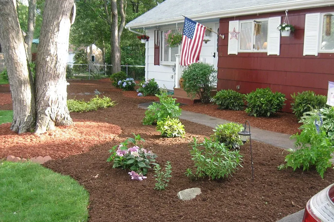 Landscaping