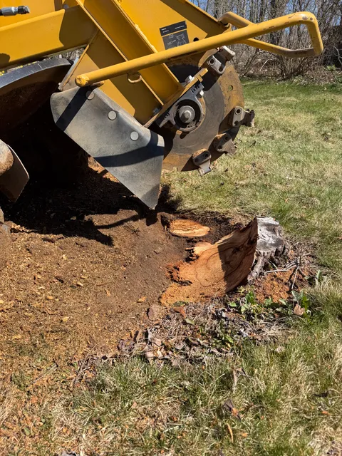 Tri-Son Stump Grinding researched project photo