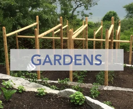 Terraced garden with climbing structure