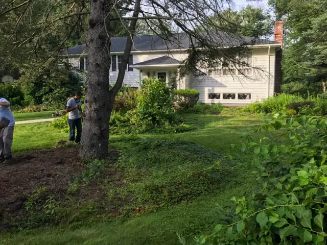 work photo from juniorlandscapingbedford.com