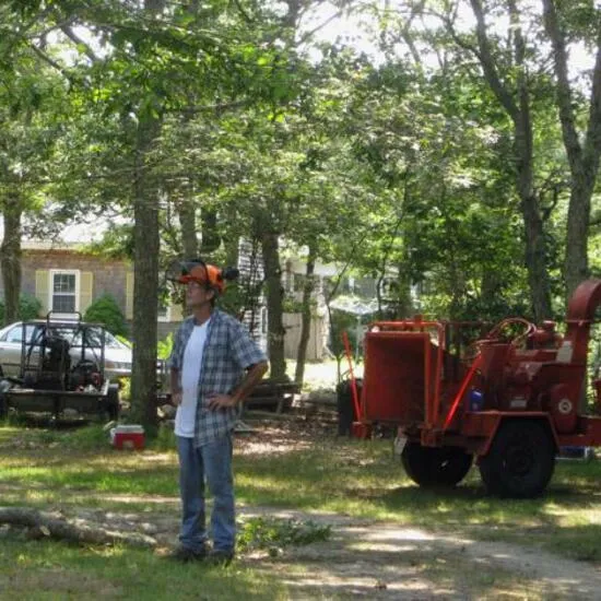 work photo from capecodtreeservices.com