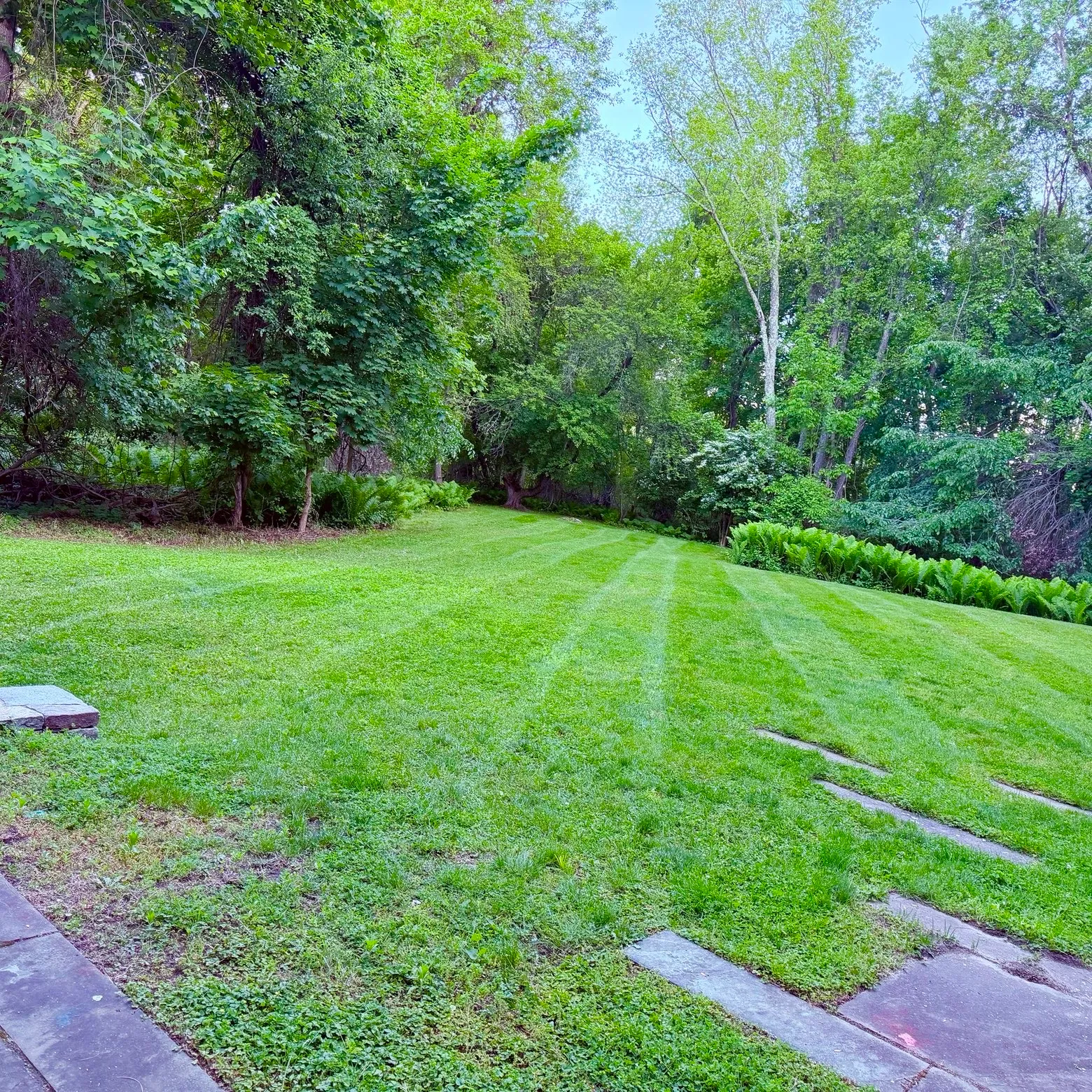 Vasquez Landscaping Services