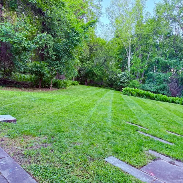 Vasquez Landscaping Services