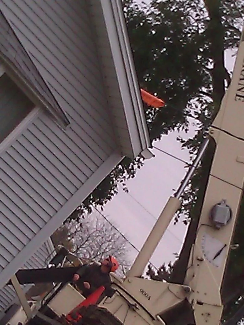 work photo from huntertreeservice.biz