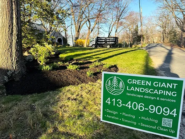 Plants installation. Green Giant Landscaping. Professional Landscape Design. Landscaping near me, South Shore, MA