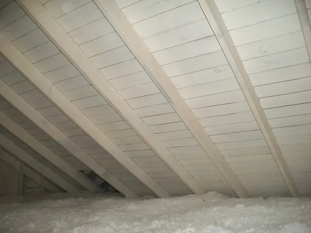 work photo from moldcarepros.com