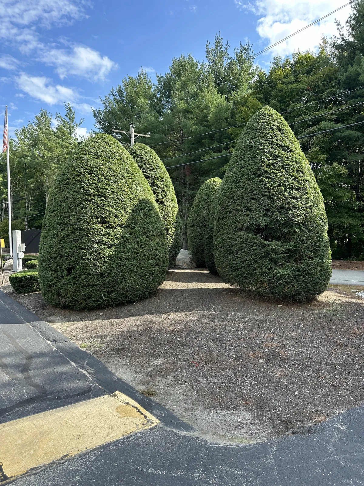 work photo from presidentlandscaping.com