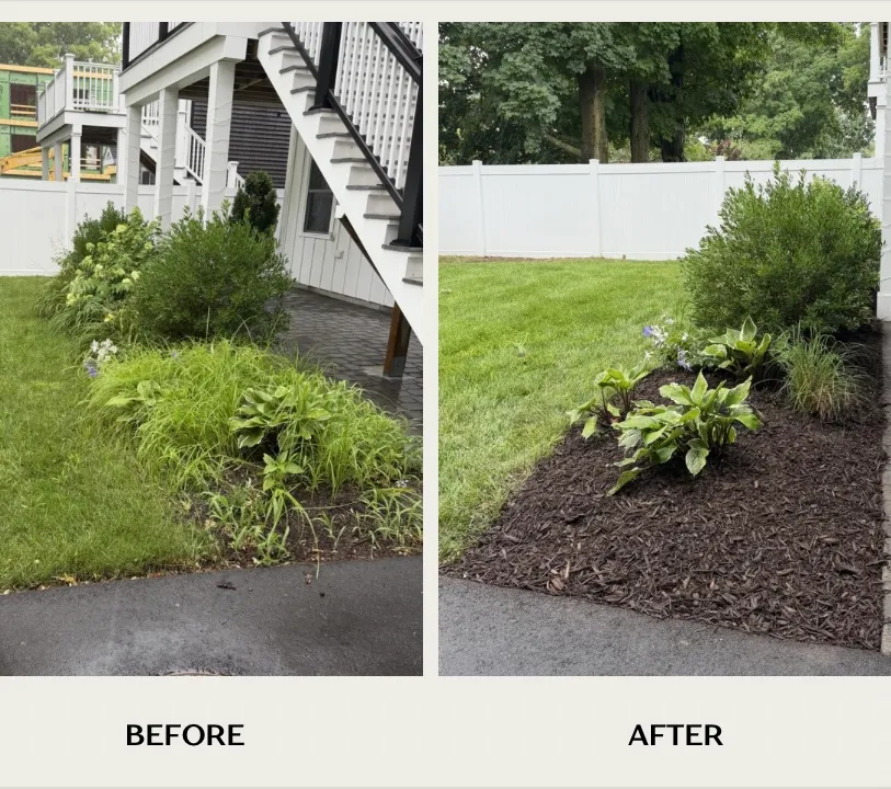 Vasquez Landscaping Services