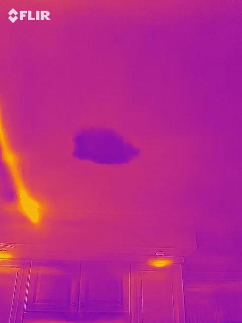 work photo from aventinehomeinspections.com