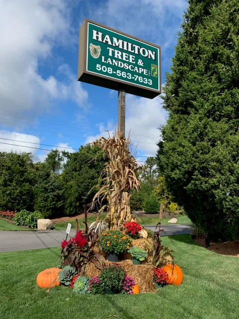 Hamilton Tree & Landscape Inc work photo