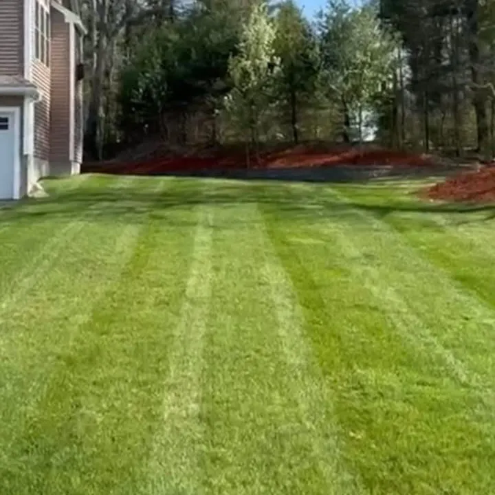 work photo from beniciolandscaping.com