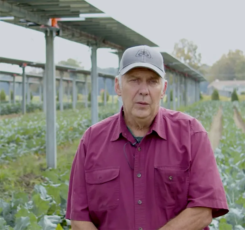 Joe in the field of broccoli and solar panels